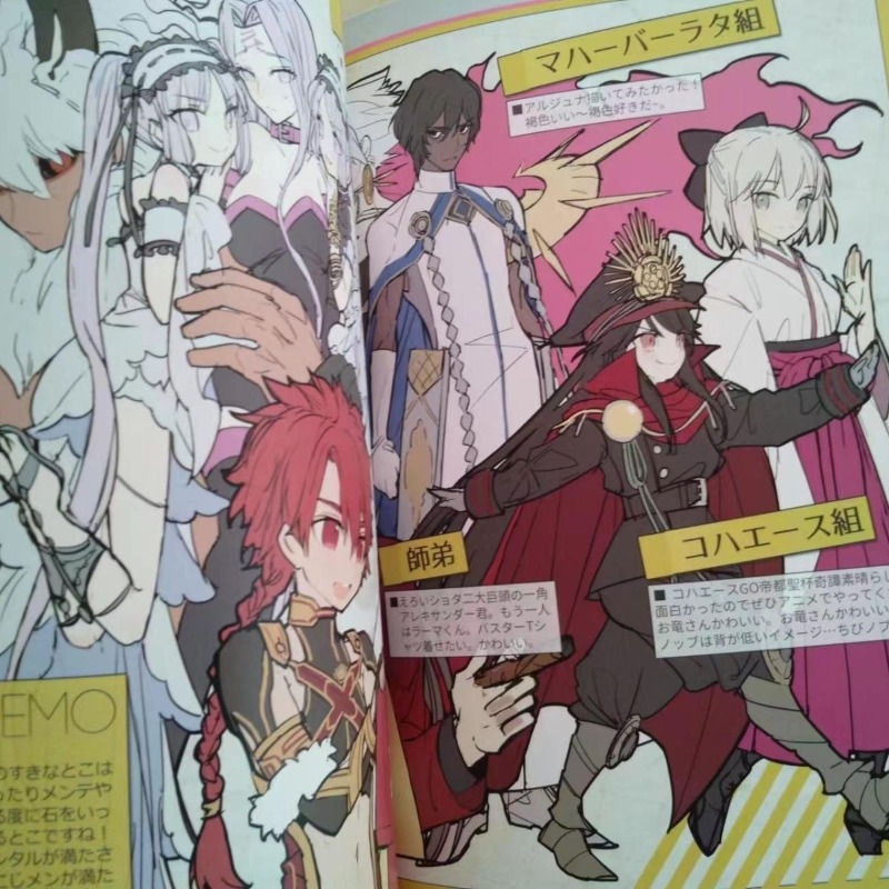 Fate Anime Merchandise - 2 Bücher Fate GO MEMO 1