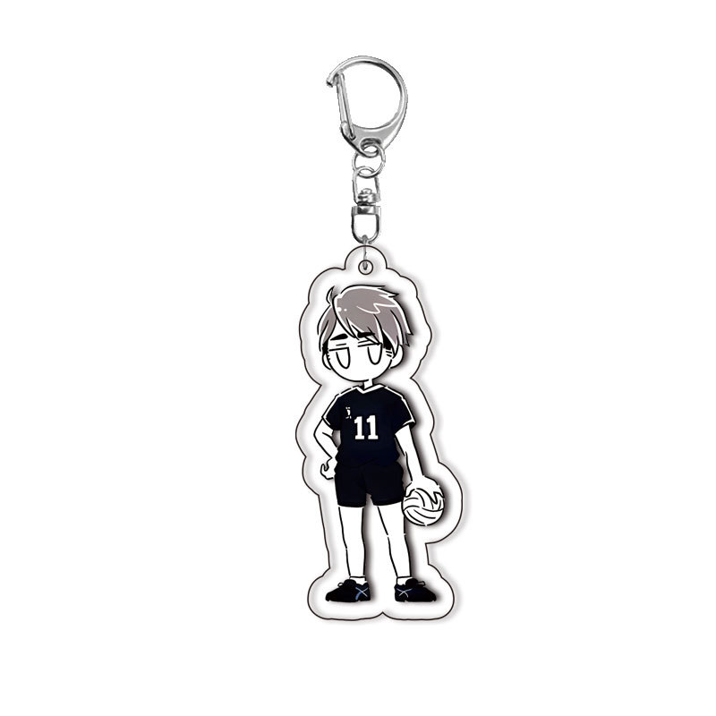 Anime Schlüsselanhänger Haikyu – Anime Merchandise Haikyuu Bewertung und Preis
