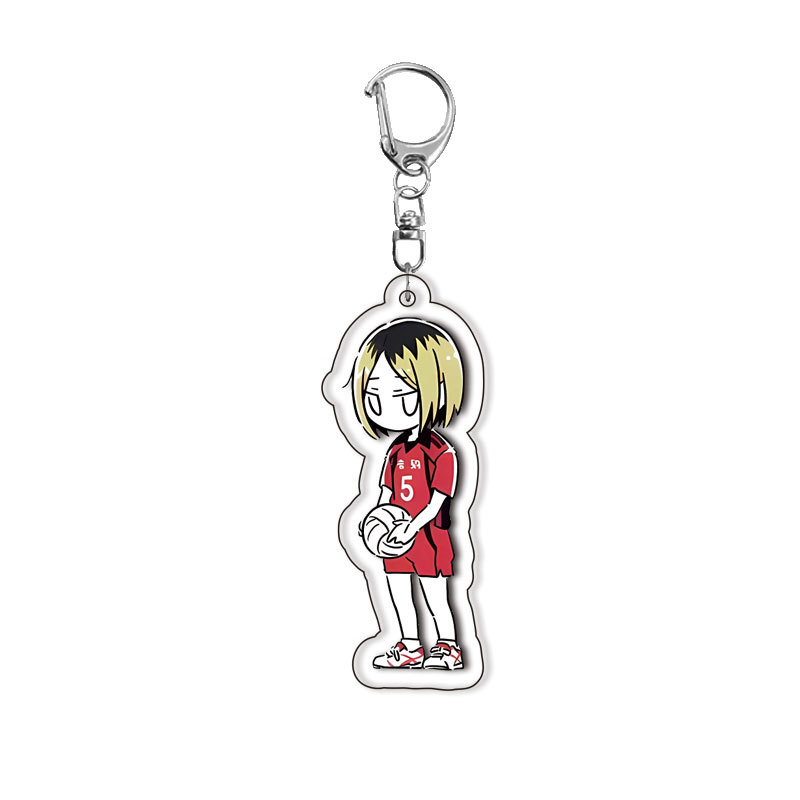 Anime Schlüsselanhänger Haikyu – Anime Merchandise Haikyuu Bewertung und Preis