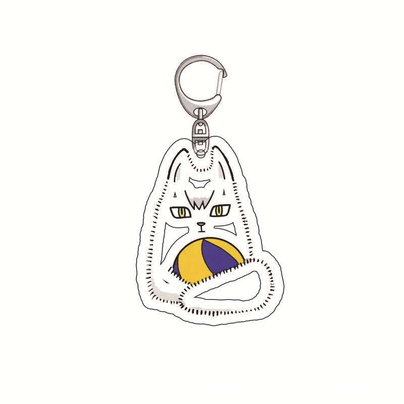 Haikyuu Anime Schlüsselanhänge – Anime Merchandise Haikyuu Bewertung und Preis