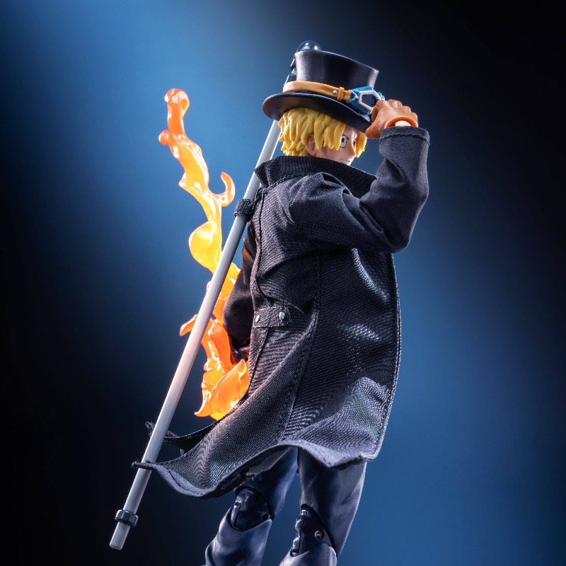 shf Anime-Figur im Maßstab 1:1 – Windbreaker Anime Merchandise Bewertung und Preis