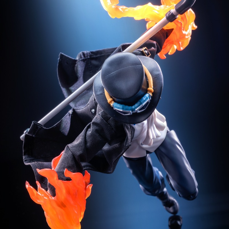 shf Anime-Figur im Maßstab 1:1 – Windbreaker Anime Merchandise Bewertung und Preis