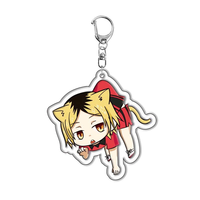 Haikyuu!! Hinata Shoyo Acryl-S – Anime Merchandise Haikyuu Bewertung und Preis
