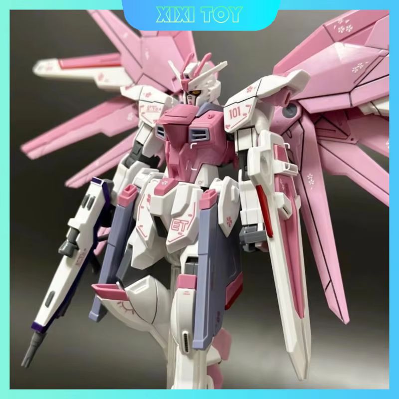 JMS HG 1/144 ZY-06 Freedom Ass – Bandai Gundam Rg Bewertung und Preis