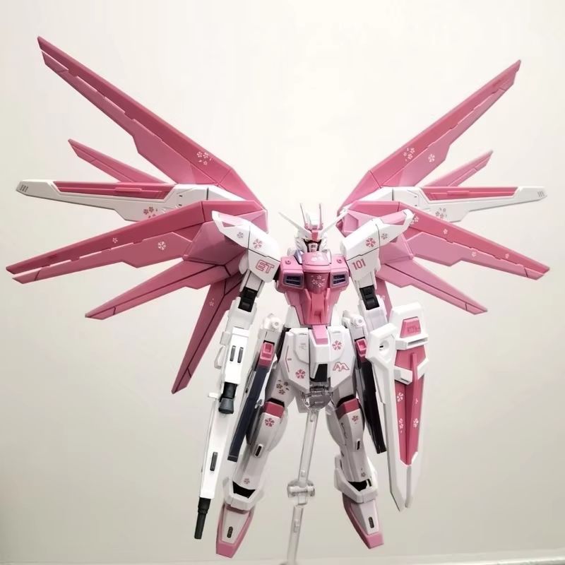 JMS HG 1/144 ZY-06 Freedom Ass – Bandai Gundam Rg Bewertung und Preis